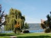 bodman_bodensee_promenade1_0